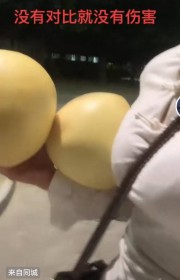 沐浴在阳光下的关爱