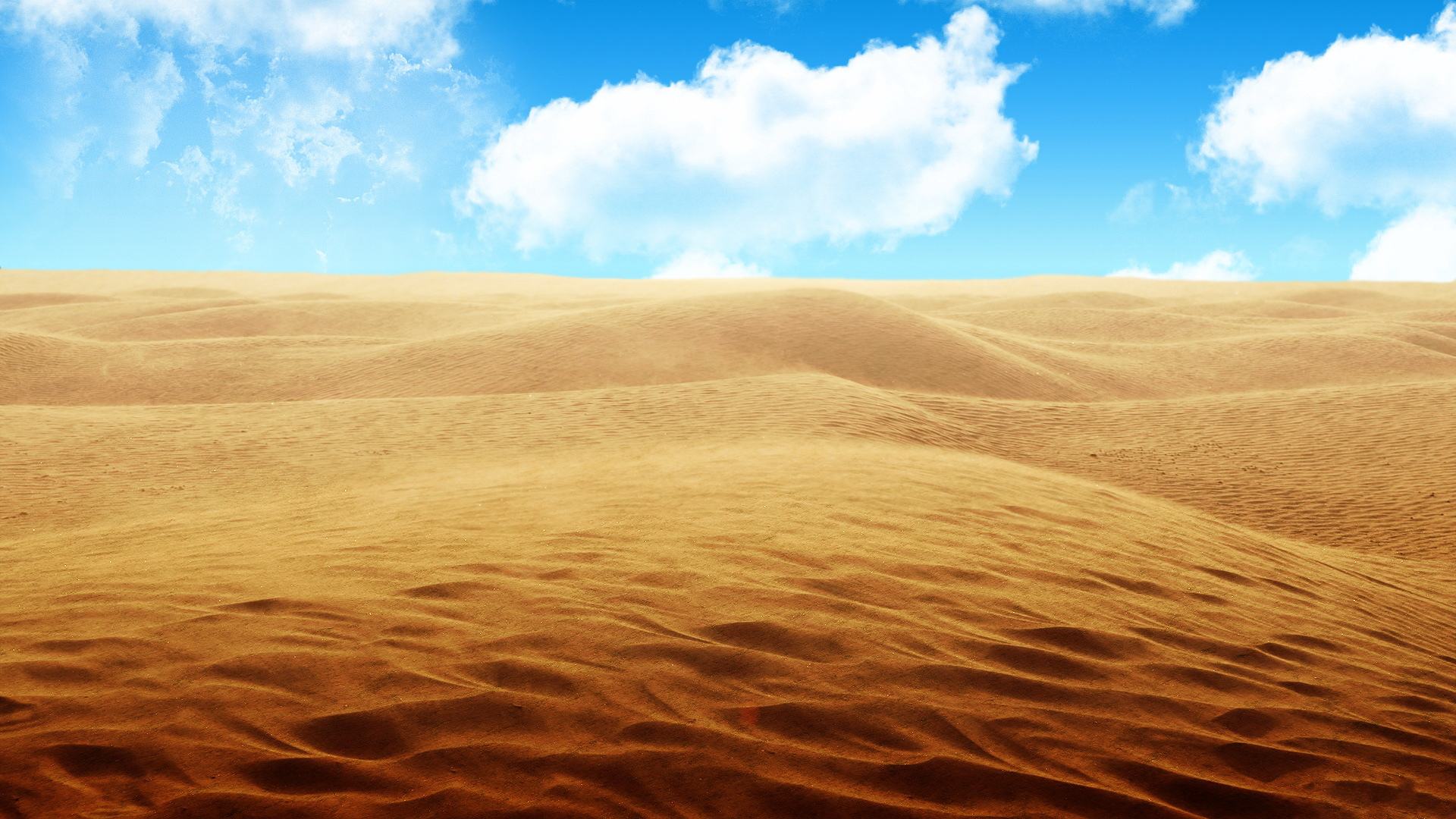 沙漠.jpg