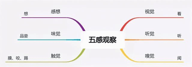 小学作文图片6.png