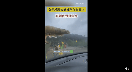 虾.png