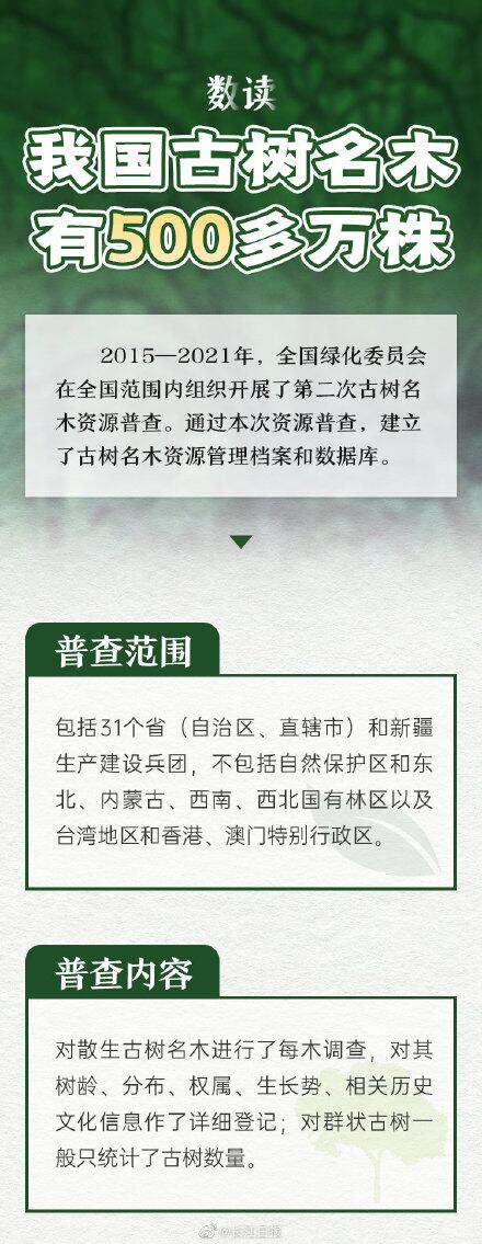 古树.jpg