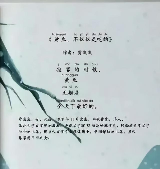 黄瓜1.jpg